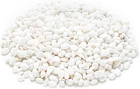 WUWEOT 6-lb-Fehér Dekoratív Bean Kavics, 0.2 Kavics Természetes Kövek, Növények, pozsgás növények, Vázák, Akváriumok, Terráriumok